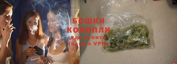 стаф Ладушкин
